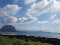 나무이야기 게스트하우스 남원점 | 여기어때