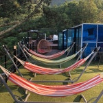 파인트리펜션 | 여기어때