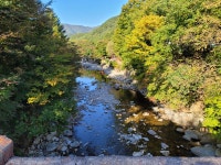 백암산장 애견동반 펜션 | 여기어때
