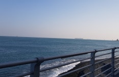 울산 춤추는고래펜션 | 여기어때