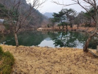 횡성 헤이미쉬 솔사랑펜션 | 여기어때