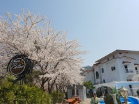 가평 메종드파티오 펜션 | 여기어때