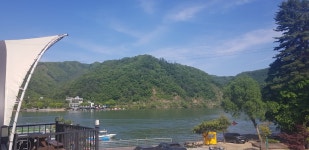 남이섬 힐링레저 펜션글램핑 | 여기어때