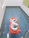 경주 더보문풀빌라 | 여기어때