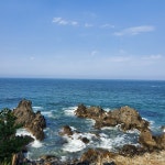 삼척 콩앤삐펜션 | 여기어때