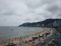 송정 나무늘보 | 여기어때
