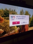 용인 샹그리아 | 여기어때
