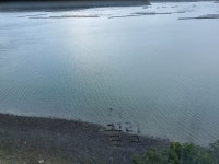 여수 더끌림 온수수영장펜션 | 여기어때