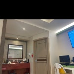 춘천 캣츠호텔 | 여기어때