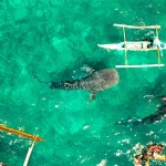 하나투어 : 꿈꾸는 대로, 펼쳐지다