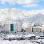 하나투어 : 꿈꾸는 대로, 펼쳐지다