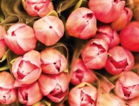 이슈 인 리조트 | 리조트 스토리 | Hanwha Resorts