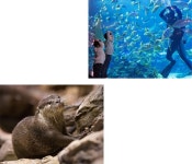 이슈 인 리조트 | 리조트 스토리 | Hanwha Resorts