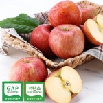 [푸른들] 경북 사과 가정용 못난이 중과 10kg (33-46과) - 에누리 가격비교