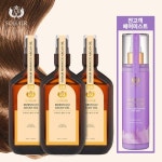 [hnsmall] [홈앤초특가] 쏘헤어 모로코 아르간오일 프리미엄 헤어에센스 3병 특가패키지(+헤어미스트) null | 홈쇼핑모아 [hnsmall]... 