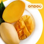 [온도씨]태국 남독마이 망고 4-6과(1.5kg 내외) - 에누리 가격비교