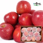 이슬마루 경북 의성 사과 10~12과 2.5kg [1개] - 에누리 가격비교