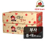 영농조합법인 산들앤 달코미 세척사과 중-대과 3kg [2개] - 에누리 가격비교