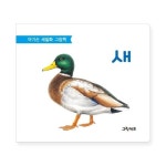 그린키즈 아기손 세밀화 그림책 - 새 - 에누리 가격비교