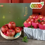 [녹색농장]선물용 경북사과10kg(27-33과) - 에누리 가격비교