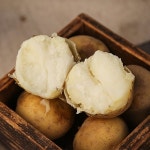 [농부마음]2025년 국내산 햇 감자 흙감자 5kg(대/상) - 에누리 가격비교