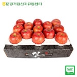 [문경APC] 새재의 아침 문경 사과 부사 5kg 10-13과내 / 실중량 - 에누리 가격비교