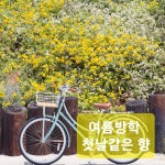 프레야 | 작가 피드