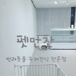 펫만찬 | 스토리  펫만찬