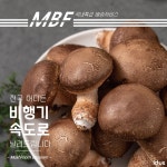 버섯꽃피다농원 | 작가 피드