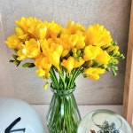 프리지아 생화 후리지아 3단 5단 꽃다발 | 아이디어스 프리지아 생화 후리지아 3단 5단 꽃다발