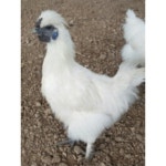 내몸에 자연가득 | 작가 피드