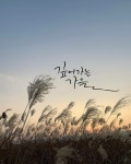 힐링캘리 | 작가 피드