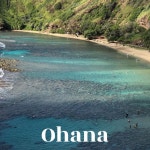 오하나(Ohana) | 작가 피드