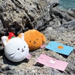 베리캣갤러리 | 작가 피드