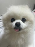 까만코 공방 | 작가 피드