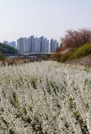 J소잉DIY | 스토리  J소잉DIY