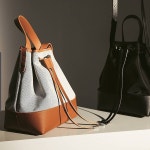 라비아 | 피드 라비아