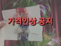 블루파인 | 작가 피드