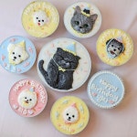 고퀄리티 강아지 고양이 생일 케이크 당일발송 | 아이디어스 고퀄리티 강아지 고양이 생일 케이크 당일발송