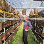 희망빛상황버섯농장 | 작가 피드