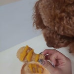 🐶강아지붕어빵🐶오간식 | 아이디어스 - 핸드메이드, 수공예, 수제 먹거리 🐶강아지붕어빵🐶오간식