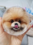 양모펠트 키링 | 아이디어스 양모펠트 키링
