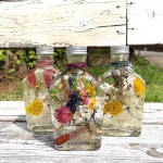 하바리움 무드등 프리저브드오피스굿즈 | 아이디어스 하바리움 무드등 프리저브드오피스굿즈