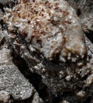 콩크(CONC) | 작가 피드