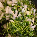 순창 가이아농장(농부 김기열/전명란) | 작가 피드