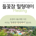 들꽃잠♥ | 작가 피드