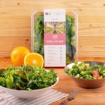 팜에이트 무농약 유러피안 소프트샐러드130g 팜채소 [원산지... 팜에이트 무농약 유러피안 소프트샐러드130g 팜채소 [원산지:작품정보참조]