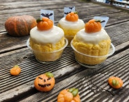 담무네수제간식 | 피드 담무네수제간식