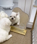 더디어포레스트(The_Dforest) | 작가 피드