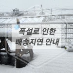 가죽공방 련화 | 작가 피드